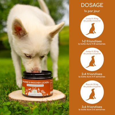 Recommandation de dosage : 1x par jour. Jusqu'à 10 kg de poids corporel, 1 à 2 friandises ; jusqu'à 25 kg, 2 à 4 friandises ; plus de 25 kg, 3 à 6 friandises. Boîte de friandises Articulations & Os visible.