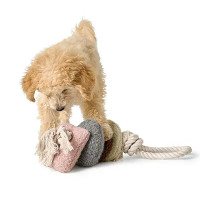 HUNTER Madrid Dog Toy with Rope