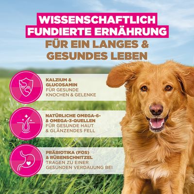 Eukanuba Grain Free Adult Large z jagnjetino - 12 kg