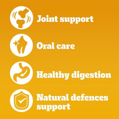 PEDIGREE® COMPLETE™ Senior Poultry & Vegetables