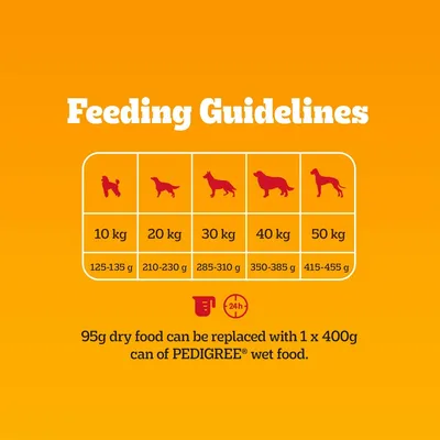 PEDIGREE® COMPLETE™ Senior Poultry & Vegetables - Multibuy: 2 x 3kg