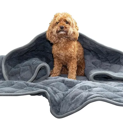 KONG Coperta anti-stress, grigia - L 44 x P 51 x H 19 cm
