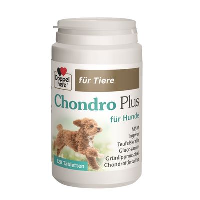 Doppelherz Chondro Plus für Hunde - 120 Tabletten