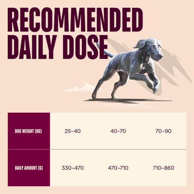 Carnilove Active Maxi losos a krůta