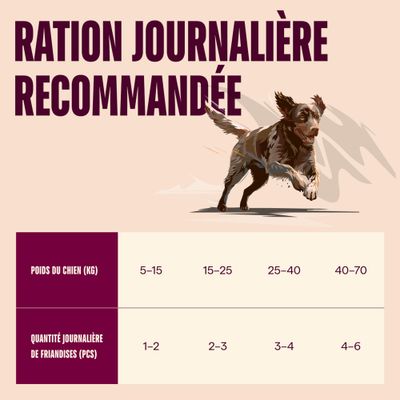 Carnilove Dog en sachets de pâté 4 x 300 g