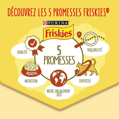 Texte : Découvrez les 5 promesses Friskies Purina. Qualité, traçabilité, expertise, nutrition 100 %, notre engagement 2025. Friskies et Purina visibles.