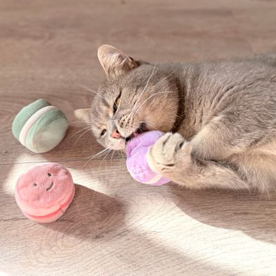 Aumüller Jouet Macarons pour chat
