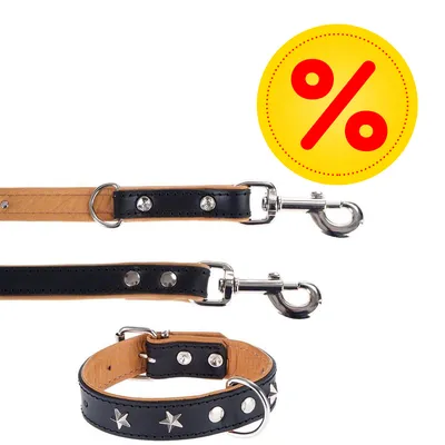 Schwarzes Lederhalsband mit Sternen und Nieten sowie passender Leine. Gelbes Rabatt-Symbol mit rotem Prozentzeichen.