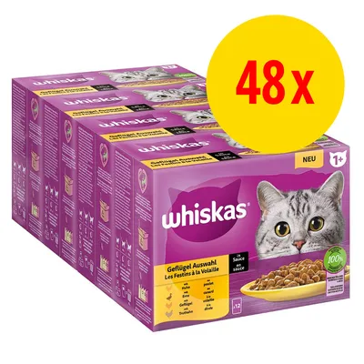 Whiskas Geflügel Auswahl in Sauce, confezione da 48 bustine per gatti adulti 1+, visibile scritta '48x' su sfondo giallo e immagine di un gatto grigio sul fronte della confezione.