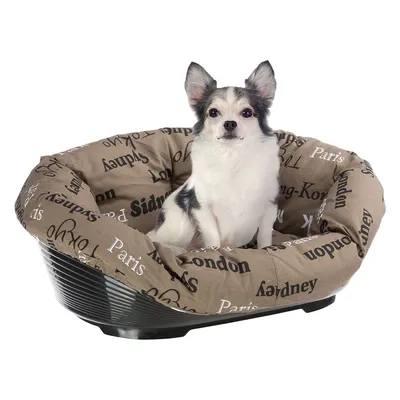 Braunes Hundebett mit schwarzem Kunststoffrahmen, bedruckt mit Städtenamen wie Paris, London und Tokyo.