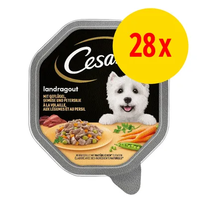 Cesar landragout à la volaille, aux légumes et au persil, lot de 28 barquettes. Texte visible : élaboré avec des ingrédients naturels.