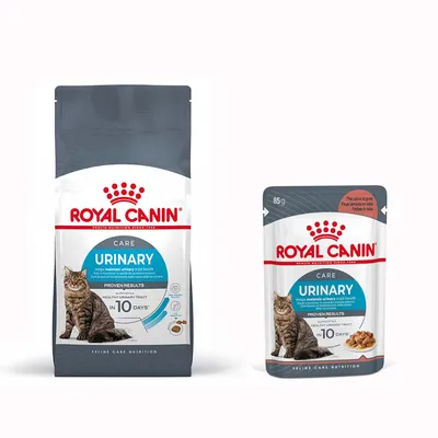 Małe opakowanie Royal Canin Special Care + 12 x 85 g karma mokra Royal Canin - Urinary Care, 4 kg + Urinary Care w sosie, 12 x 85 g