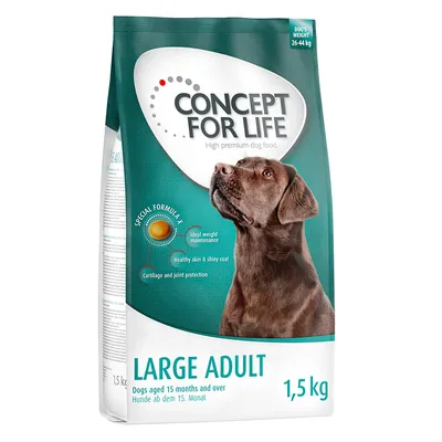 Concept for Life Large Adult, koiranruoka yli 15 kuukauden ikäisille, paino 26–44 kg, 1,5 kg. Special Formula: ihannepaino, terve iho ja turkki, nivelten suoja.