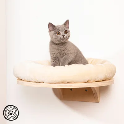 Chat gris assis sur un lit mural rond en bois clair avec coussin beige fixé au mur, logo patte visible en bas à gauche de l’image.