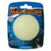 Chuckit! Max Glow Ball świecąca piłka dla psa Śr. 6,5 cm