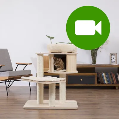 Przycisk odtwarzania wideo. Kliknij tutaj, aby obejrzeć film prezentujący drapak dla kota z legowiskiem i budką. Przycisk odtwarzania wideo. Kliknij tutaj, aby obejrzeć film prezentujący drapak dla kota z legowiskiem i budką.
