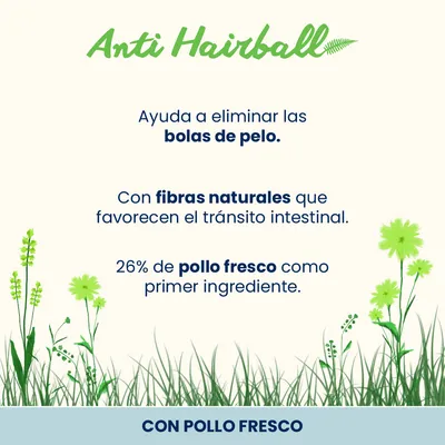 Almo Nature Functional Anti Hairball pollo y arroz - 2 x 2 kg - Pack Ahorro