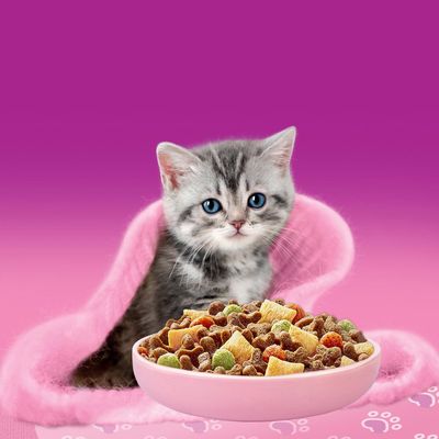 Whiskas Junior csirke