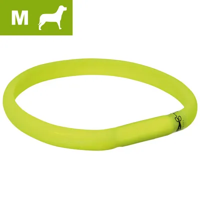 Gult hundehalsbånd i plast, størrelse M vist med ikon af hund og bogstavet M i grøn boks øverst til venstre.