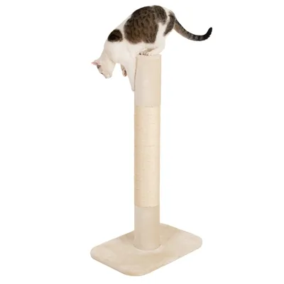 Kradsøjle med beige sokkel og sisalsøjle, kat sidder øverst på søjlen.