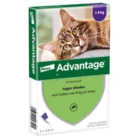 Advantage® 80 voor Katten vanaf 4 kg - 4 pipetten - NL