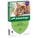 Advantage® 80 voor Katten vanaf 4 kg Dubbelpak: 2 x 4 pipetten - NL