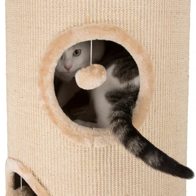 Cat inside a beige scratching tower, looking out from a circular opening with a hanging plush ball toy visible.