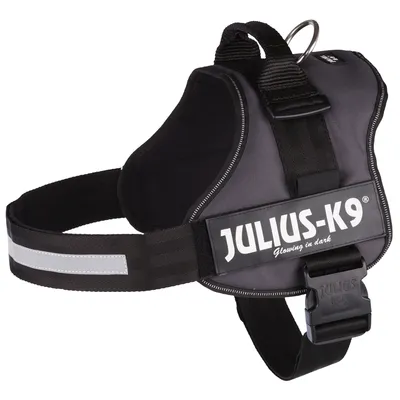 Julius-K9 dog harness in black with reflective stripes and 'Glowing in dark' label.