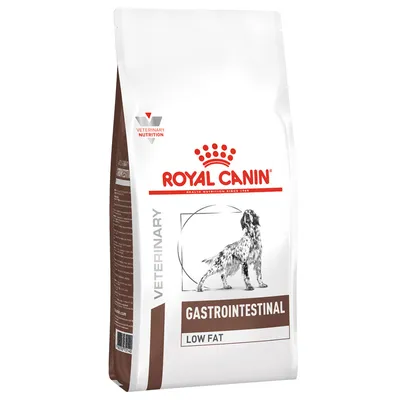 Royal Canin Gastrointestinal Low Fat -koiranruokapakkaus, näkyvissä tekstit VETERINARY NUTRITION ja kuva koirasta. Pakkaus on pääosin valkoinen ja ruskea.