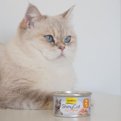 GimCat ShinyCat Filet i buljong 12 x 70 g