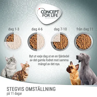 Utfodringsschema för Concept for Life: byt ut en fjärdedel av fodret dagligen under 11 dagar. Visar skålar med torrfoder och text om stegvis omställning för katt och hund.