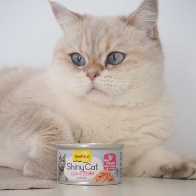Sparpack: GimCat ShinyCat Filet i buljong 12 x 70 g i burk
