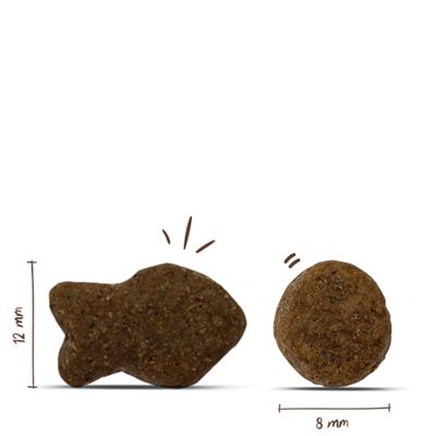 Zwei Krokettenformen im Vergleich: links fischförmig, 12 mm hoch; rechts rund, 8 mm Durchmesser. Größenangaben sind direkt am Bild sichtbar.