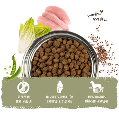 Trockenfutter mit Erbsen, Chicorée, Huhn und Leinsamen. Hinweise: Rezeptur ohne Weizen, Muschelextrakt für Knorpel & Gelenke, ausgewogenes Nährstoffangebot.