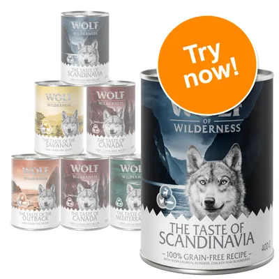 Wolf of Wilderness wet dog food cans, visible flavours: The Taste of Scandinavia, Savanna, Canada, Outback, Mediterranean. Large can with 'Try now!' badge. 100% grain-free recipe, 400g.