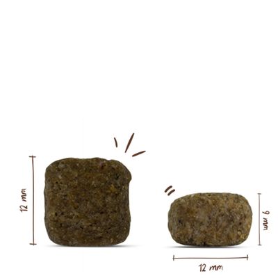 Zwei Futterstücke mit Maßangaben: 12 mm hoch und breit, das zweite Stück 6 mm hoch und 12 mm breit.