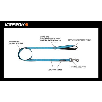 Icepeak Pet Highway Basic smycz, aqua
