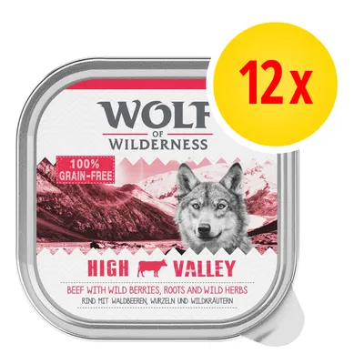 Wolf of Wilderness High Valley, 12 x tacka, 100% grain-free, wołowina z jagodami, korzeniami i ziołami. Tekst w języku angielskim i niemieckim na opakowaniu.
