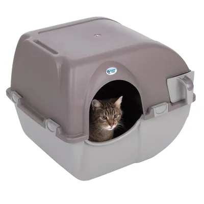 Gesloten kattenbak met bruine deksel en grijze basis, kat kijkt uit de ingang. Omega Paw logo zichtbaar aan de voorkant.