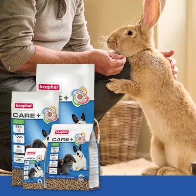 Beaphar Care+ karma dla królików, formuła All-in-One, 25% białka, w 100% ekstrudowana, bez cukru. Opakowanie z wizerunkami królików i wskazówką pielęgnacyjną.