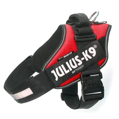 Hundesele i sort og rød med teksten JULIUS-K9 IDC® POWER synligt på siden. Selen har spænde, håndtag og metalring til line.