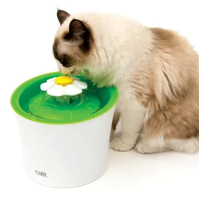 Fontaine à eau Catit en plastique blanc et vert avec motif fleur, un chat boit à la fontaine. Marque Catit visible sur le produit. Fontaine à eau Catit en plastique blanc et vert avec motif fleur, un chat boit à la fontaine. Marque Catit visible sur le produit.