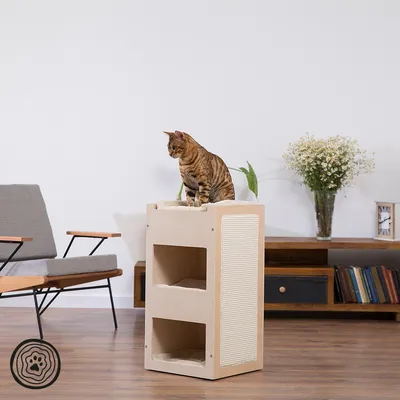Mobili per gatti in legno con tre livelli, superficie tiragraffi laterale e un gatto sulla piattaforma superiore. Soggiorno moderno sullo sfondo.