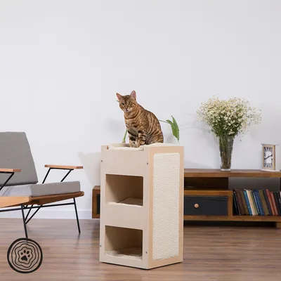 Holz-Katzenmöbel mit zwei Liegeflächen und Kratzfläche aus Sisal, Bengal-Katze sitzt oben. Modernes Wohnzimmer im Hintergrund.