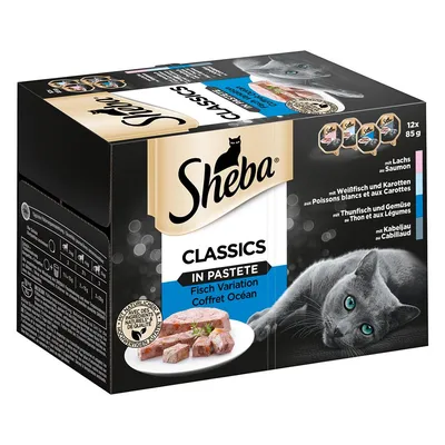 Confezione Sheba Classics In Pastete Fisch Variation, 12x85g. Varianti: salmone, pesce bianco e carote, tonno e verdure, merluzzo. Immagine di gatto grigio e paté su piatto.