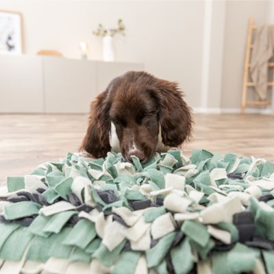 Trixie Activity Sniffer Carpet - 50 x 34 cm (L x W)