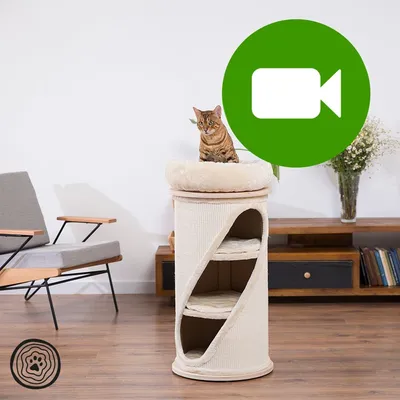 Przycisk odtwarzania wideo. Kliknij tutaj, aby obejrzeć film prezentujący drapak dla kota z legowiskiem i półkami. Przycisk odtwarzania wideo. Kliknij tutaj, aby obejrzeć film prezentujący drapak dla kota z legowiskiem i półkami.