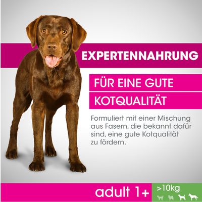 EXPERTENNAHRUNG, FÜR EINE GUTE KOTQUALITÄT, adult 1+, >10kg. Формулировка с клетчаткой для хорошего качества стула. Текст на немецком языке.
