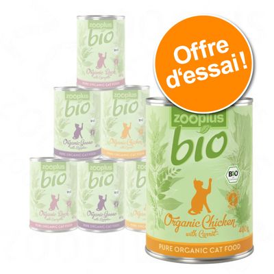 L Age Des Chats Comment Le Calculer Magazine Zooplus