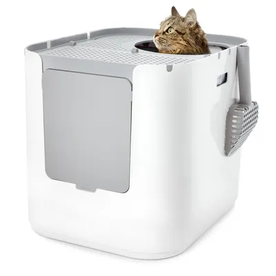 White cat litter box with grey lid and side handle. Cat looking out from the top opening.